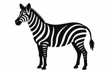 Poster - zebra vector illustration