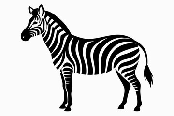 Poster - zebra vector illustration