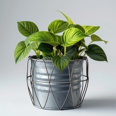 Elevated metal flower pot and metal wire with a green plant on a white background. Generative AI.