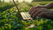 © saitharn - Farmers use computers to analyze the growth of plants on their farms.