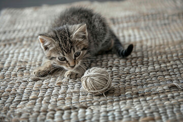 Wall Mural - A curious kitten plays with a ball of yarn on a woven mat, showcasing its playful nature.