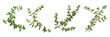 © Armin - Set of thyme sprig, isolated on transparent white background