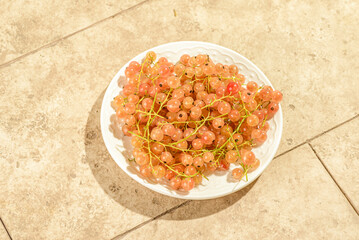 Wall Mural - white currant on a white plate