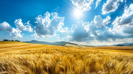 Canvas Print - Golden wheat field under a vibrant blue sky with dramatic clouds. Conceptual image of agriculture and prosperity. Perfect for nature and landscape themes. High-resolution, panoramic style. AI