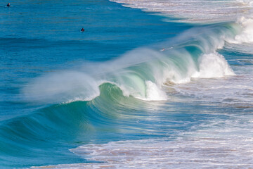 Wall Mural - Waves at Whale Beach