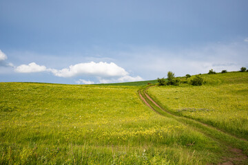 Sticker - summer landscape with green meadow and blue sky