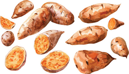 Poster - sweet potato watercolor clipart