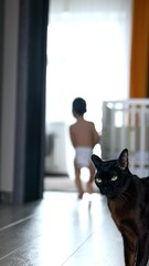 Poster - Rear view of a toddler in diaper running by the house. Black cat looks at camera and then follows a baby. Vertical video