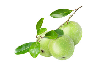 Wall Mural - Green apple isolated on white