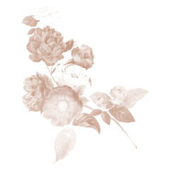 Sticker - Png vintage flower illustration on transparent background