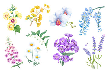 Canvas Print - Watercolor flower png collection, transparent background