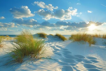 Wall Mural - Beautiful painting of a seaside path with grassy dunes leading to the ocean.