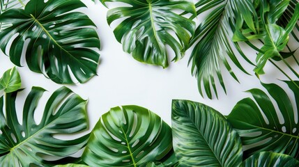 Poster - Tropical leaves pattern on white background top view