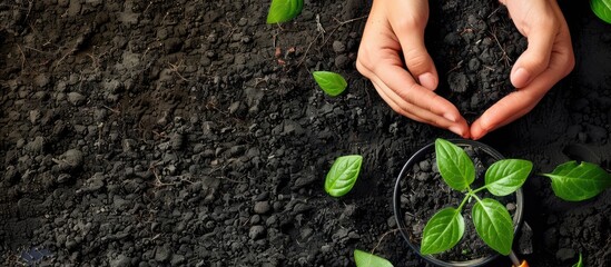 Aufkleber - Hands holding gardening supplies with a copy space image ideal for planting seedlings in rich soil