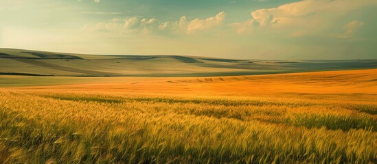 Wall Mural - Abstract steppe landscape with a field providing copy space