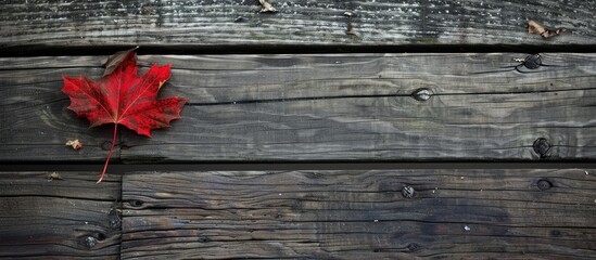 weathered wood floor with a red maple leaf providing a visual focal point in a copy space image