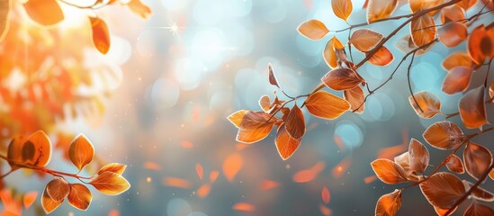 Aufkleber - Autumn leaves branch in park view with a photography suitable for adding text within the copy space image