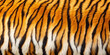 © Pixel Stock - tiger fur background