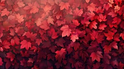 Poster - Background of fall with crimson leaves
