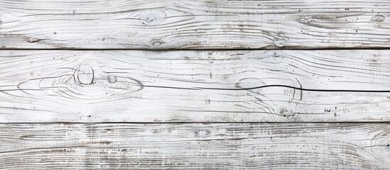 Aufkleber - Top view of natural wooden plank from the forest the white wood presents original texture suitable as a background in a copy space image