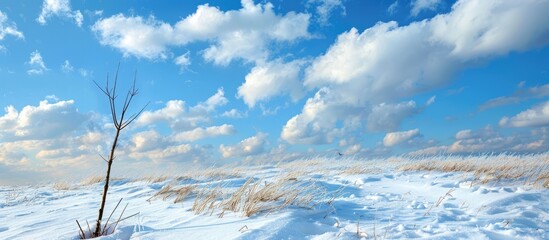 Canvas Print - Scenic view of snow against a backdrop of a blue sky with clouds and a stick in the foreground in the copy space image