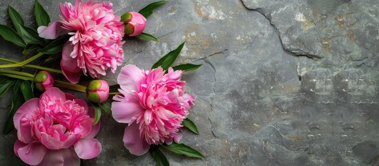 Poster - Pink peony flowers displayed elegantly on a stone background with ample copy space image