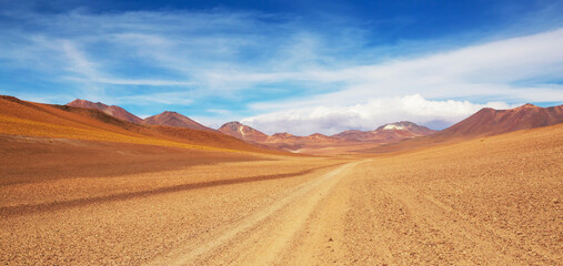 Canvas Print - Road in Bolivia