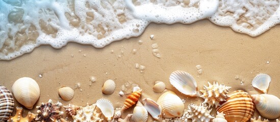 Poster - Sandy beach adorned with seashells creating a picturesque summer scene with a copy space image