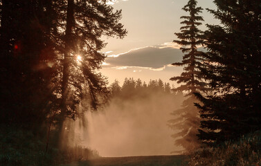 Canvas Print - Sunny beams