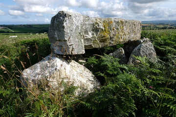 Wall Mural - Pawton Quoit prehistoric portal dolman early and middle Neolithic period in England 3500-2600 BC the burial monument near St Breock Cornwall UK