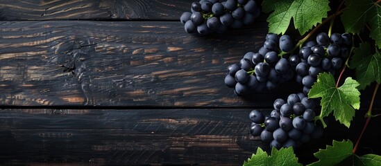 Aufkleber - Top view of a black grape branch against a dark wooden backdrop showcasing a botanical berry plant ideal for promoting healthy eating with ample copy space for text