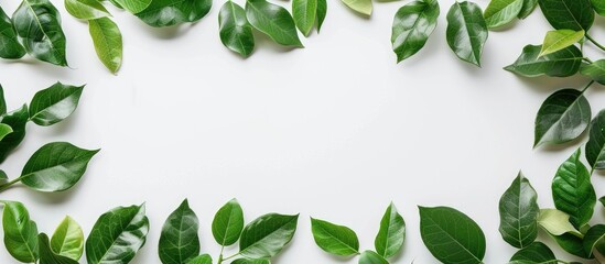 Aufkleber - Lovely border made of leaves on a white backdrop with a copy space image for adding text