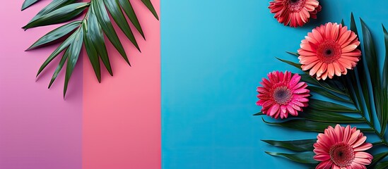 Poster - Fresh Gerbera spring flowers composed on a colorful background with a tropical plant creating a stunning flat lay view with copy space for an image