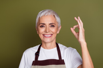 Sticker - Photo of adorable happy woman wear apron serving beverages showing okey sign empty space isolated khaki color background