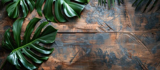 Canvas Print - Top down view of a Monstera leaf with Philodendron patterns on a rustic wooden table background featuring ample copy space image