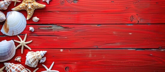 Canvas Print - Shells and sea stars arranged on a vibrant red wooden surface with an empty space for an image. Copy space image. Place for adding text and design