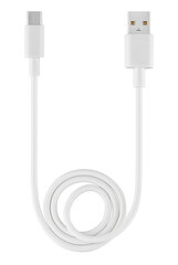 Wall Mural - cable with Type-C connector and USB connector, white color