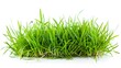 © irawan - green grass isolated on white