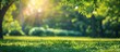 © Ilgun - Sunlight filters through the trees in a blurred green park setting ideal for summer or spring backgrounds with a copy space image to showcase products