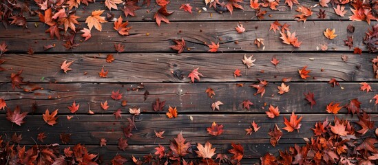 Sticker - Wooden floor with maple leaves offering a copy space image for adding text