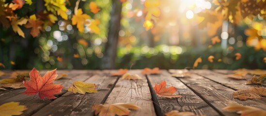 Wall Mural - A rustic themed outdoor mockup featuring autumn maple leaves on a wooden table with a blurred nature background perfect for product display with copy space image