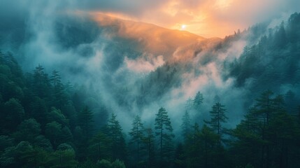 Wall Mural - Mountains, clouds and mist halfway up the mountain, forest on the left, sunrise 