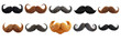 © catocala - Collection of mustaches of different colors and shapes, isolated on transparent