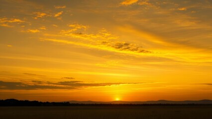 Wall Mural -  Golden sunset over a tranquil field