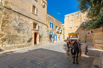 Wall Mural - Mdina street view in Malta Island.