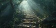 © BrightWhite - Enchanting misty forest with sun rays breaking through lush green canopy over stone-paved trail, creating magical atmosphere perfect for adventure and reflection