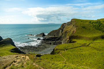 Wall Mural - Eine Schöne Wanderung zum Hartland Point mit seinen wunderschönen Leuchturm und eine traumhaften Meerkulisse - Devon - Vereinigtes Königreich