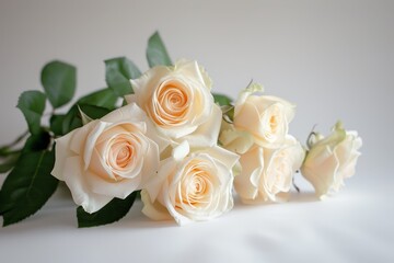 Wall Mural - White roses arranged on a white background with gentle blur