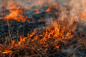 Poster - Field fire burning dry grass