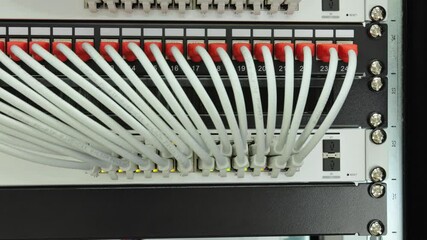 Wall Mural - An Ethernet switch for data transmission. Connection using patchcords of the 6th category.